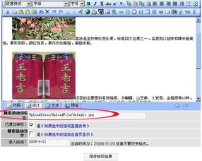 網(wǎng)站建設(shè)的專(zhuān)業(yè)選擇 從國(guó)外空間租用到圖片顯示問(wèn)題的全面解析